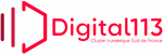 digital113 logo