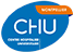 logo_chu_montpellier